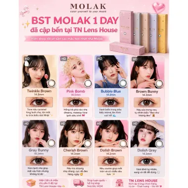 Lens 1Day Moodnight Mood Choco - Olens Chính Hãng